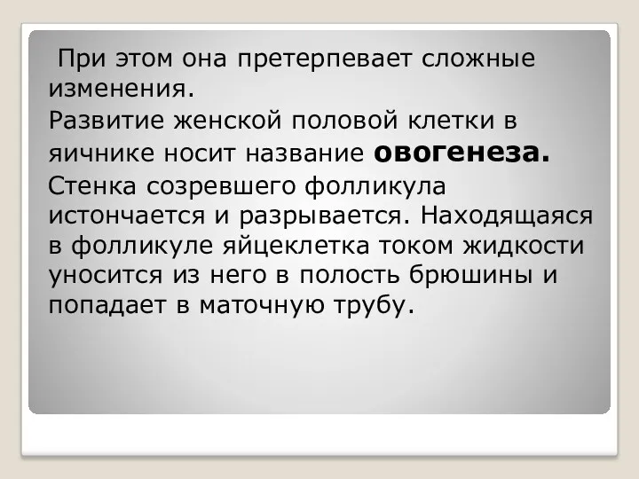 При этом она претерпевает сложные изменения. Развитие женской половой клетки