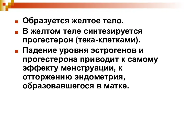 Образуется желтое тело. В желтом теле синтезируется прогестерон (тека-клетками). Падение