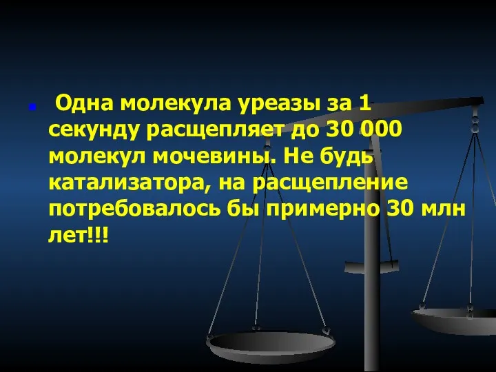 Одна молекула уреазы за 1 секунду расщепляет до 30 000