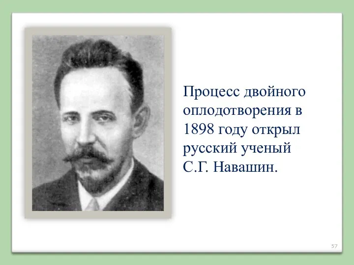 Процесс двойного оплодотворения в 1898 году открыл русский ученый С.Г. Навашин.