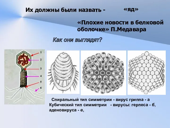 Их должны были назвать - «Плохие новости в белковой оболочке»