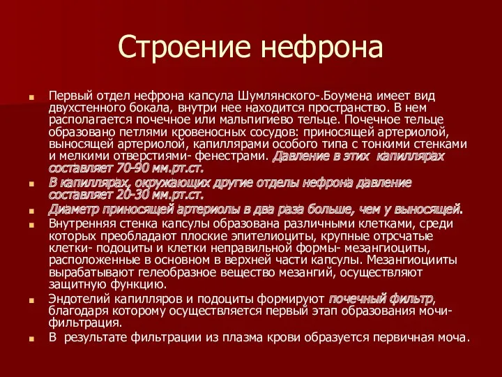 Строение нефрона Первый отдел нефрона капсула Шумлянского-.Боумена имеет вид двухстенного