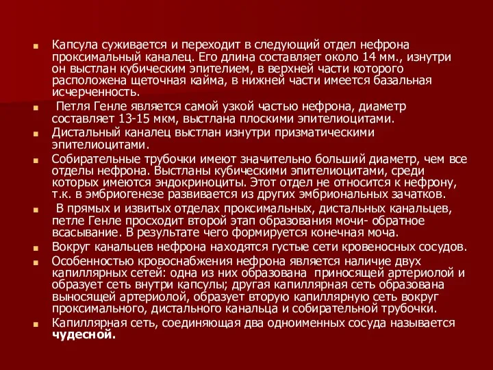 Капсула суживается и переходит в следующий отдел нефрона проксимальный каналец.