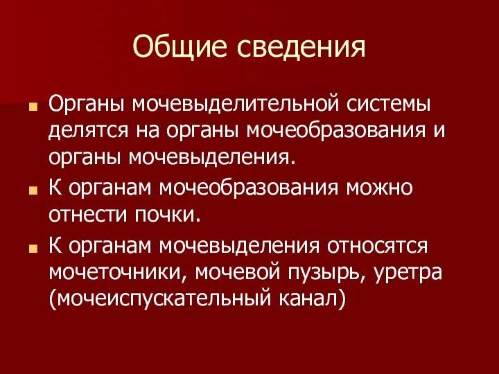 Общие сведения Органы мочевыделительной системы делятся на органы мочеобразования и