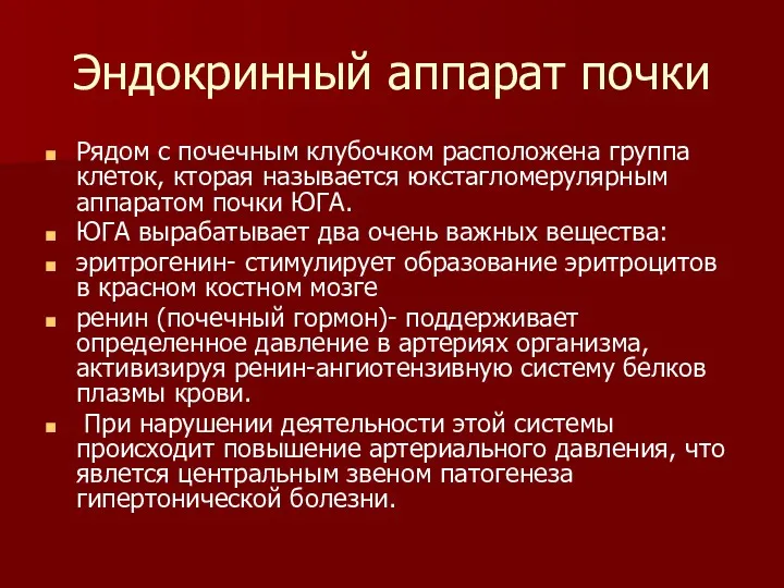 Эндокринный аппарат почки Рядом с почечным клубочком расположена группа клеток,