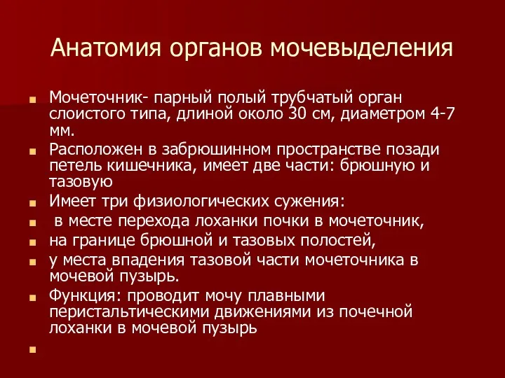 Анатомия органов мочевыделения Мочеточник- парный полый трубчатый орган слоистого типа,