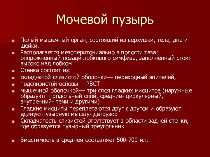 Мочевой пузырь Полый мышечный орган, состоящий из верхушки, тела, дна