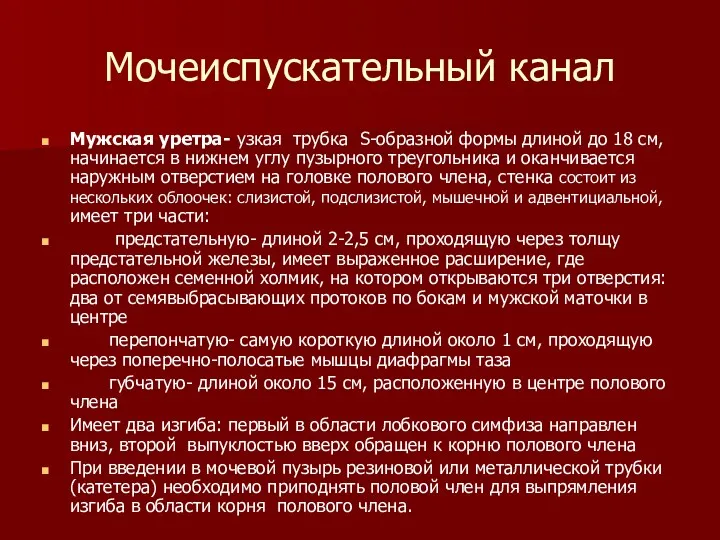 Мочеиспускательный канал Мужская уретра- узкая трубка S-образной формы длиной до