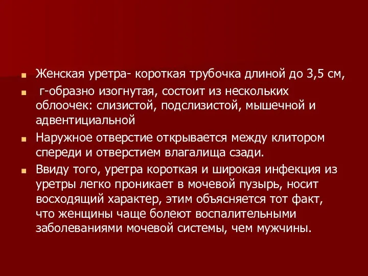 Женская уретра- короткая трубочка длиной до 3,5 см, г-образно изогнутая,