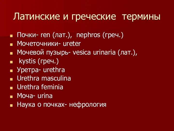 Латинские и греческие термины Почки- ren (лат.), nephros (греч.) Мочеточники-