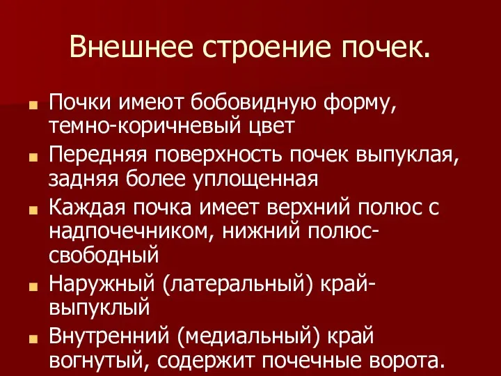 Внешнее строение почек. Почки имеют бобовидную форму, темно-коричневый цвет Передняя