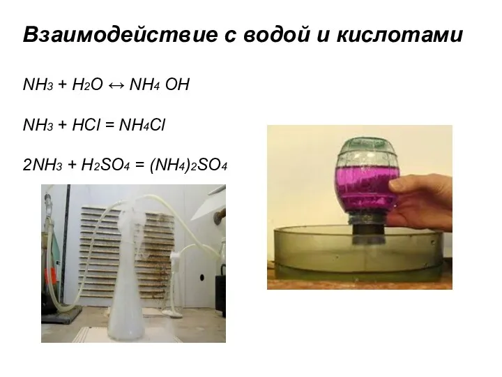 Взаимодействие с водой и кислотами NH3 + Н2О ↔ NН4 ОН NH3 +