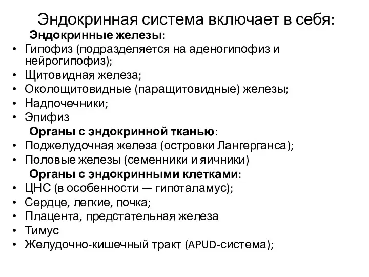 Эндокринная система включает в себя: Эндокринные железы: Гипофиз (подразделяется на