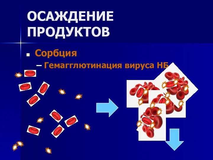 ОСАЖДЕНИЕ ПРОДУКТОВ Сорбция Гемагглютинация вируса НБ