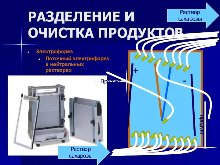 РАЗДЕЛЕНИЕ И ОЧИСТКА ПРОДУКТОВ Электрофорез Поточный электрофорез в нейтральных растворах