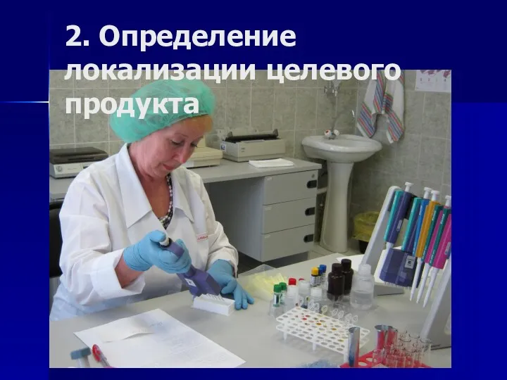 2. Определение локализации целевого продукта