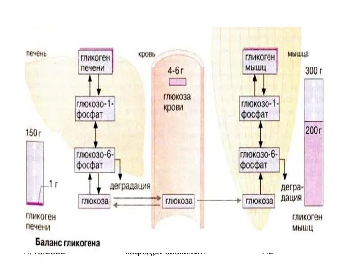 11/16/2022 кафедра биохимии