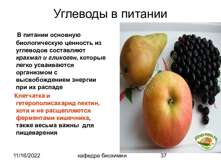 11/16/2022 кафедра биохимии Углеводы в питании В питании основную биологическую