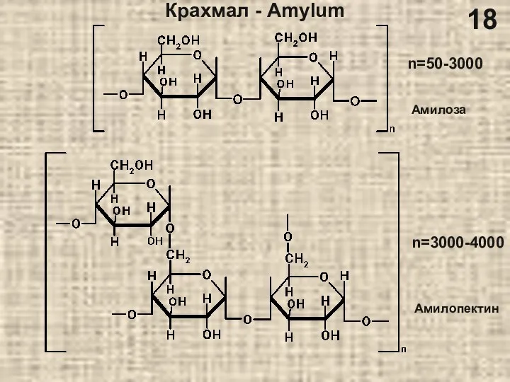 Крахмал - Amylum n=50-3000 n=3000-4000 18 Амилоза Амилопектин