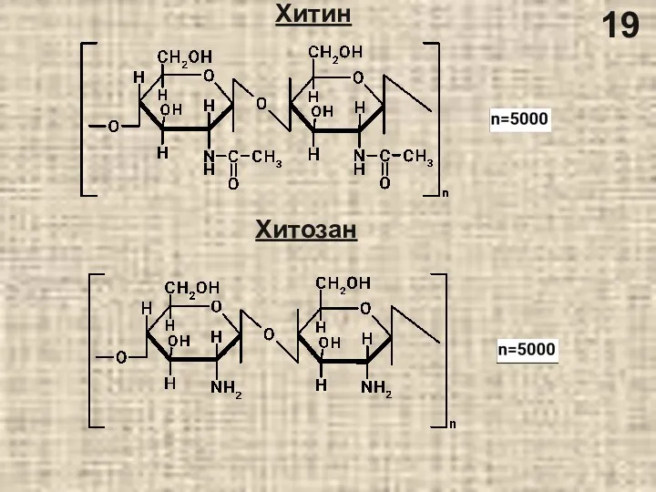 Хитин Хитозан 19