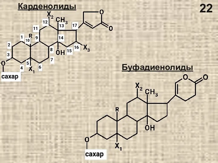 Карденолиды Буфадиенолиды 22