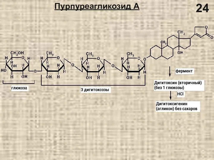 Пурпуреагликозид А 24