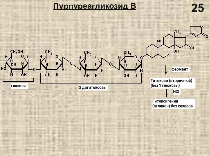 Пурпуреагликозид В 25