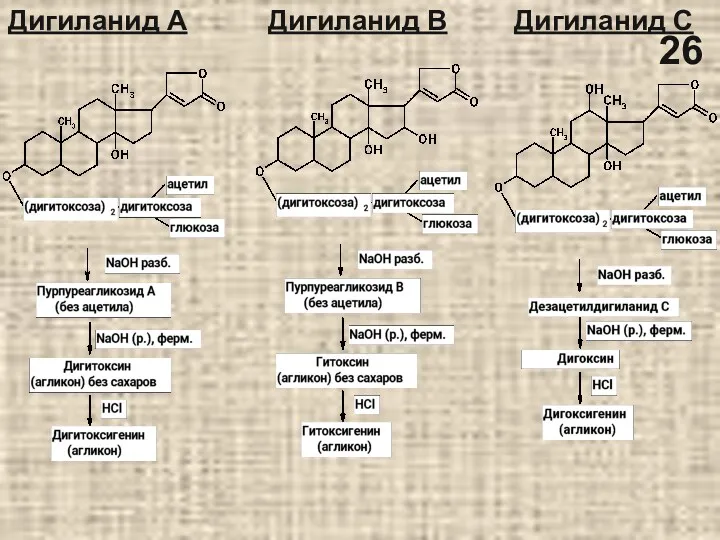 Дигиланид А Дигиланид В Дигиланид С 26
