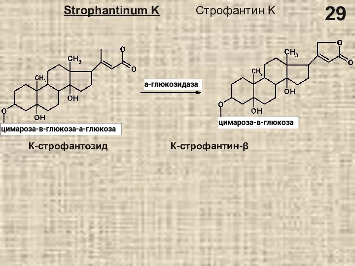 Strophantinum K Строфантин K К-строфантозид К-строфантин-β 29