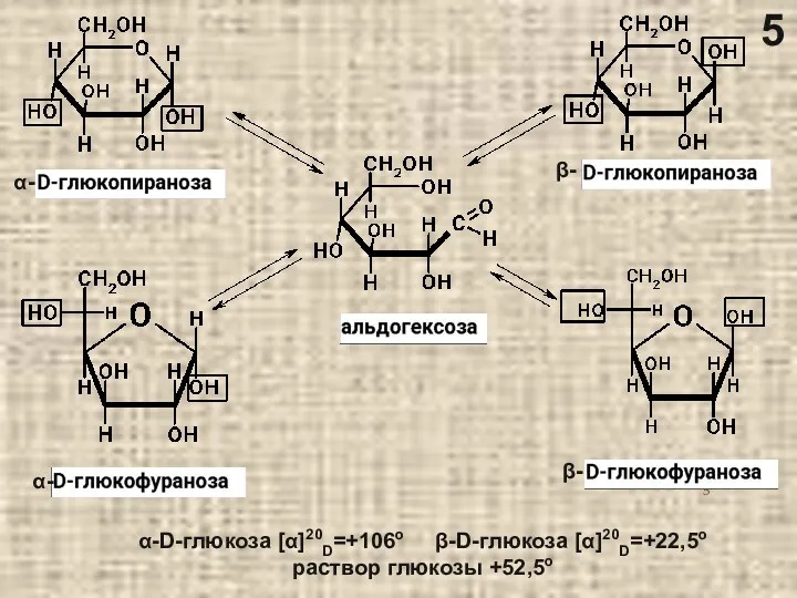 β- α- β- α- α-D-глюкоза [α]20D=+106o β-D-глюкоза [α]20D=+22,5o раствор глюкозы +52,5o 5