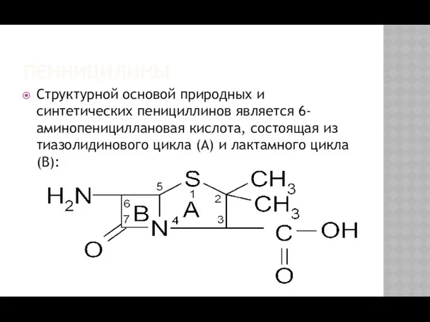 Структурной основой природных и синтетических пенициллинов является 6-аминопенициллановая кислота, состоящая из тиазолидинового цикла