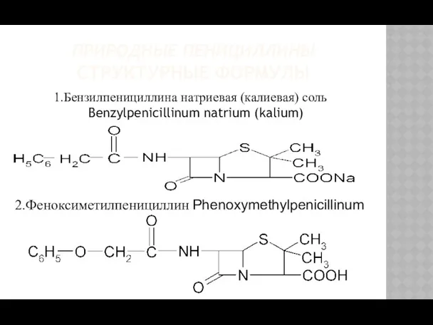ПРИРОДНЫЕ ПЕНИЦИЛЛИНЫ СТРУКТУРНЫЕ ФОРМУЛЫ 1.Бензилпенициллина натриевая (калиевая) соль Benzylpenicillinum natrium (kalium) 2.Феноксиметилпенициллин Phenoxymethylpenicillinum