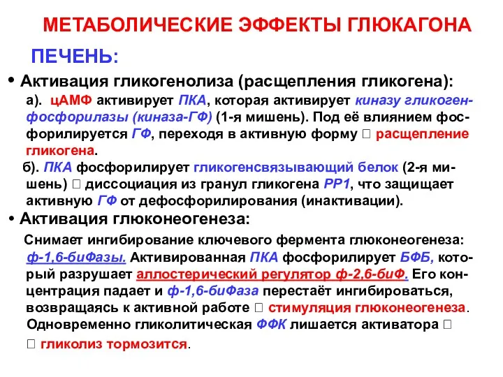 МЕТАБОЛИЧЕСКИЕ ЭФФЕКТЫ ГЛЮКАГОНА ПЕЧЕНЬ: Активация гликогенолиза (расщепления гликогена): а). цАМФ