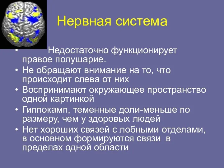 Нервная система Недостаточно функционирует правое полушарие. Не обращают внимание на