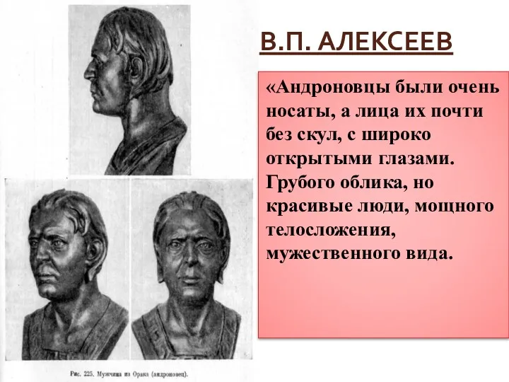 В.П. АЛЕКСЕЕВ «Андроновцы были очень носаты, а лица их почти без скул, с