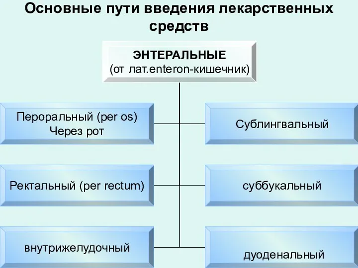 Основные пути введения лекарственных средств