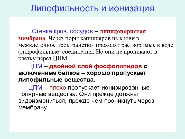 Липофильность и ионизация Стенка кров. сосудов – липидопористая мембрана. Через