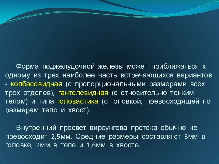 Форма поджелудочной железы может приближаться к одному из трех наиболее часть встречающихся вариантов