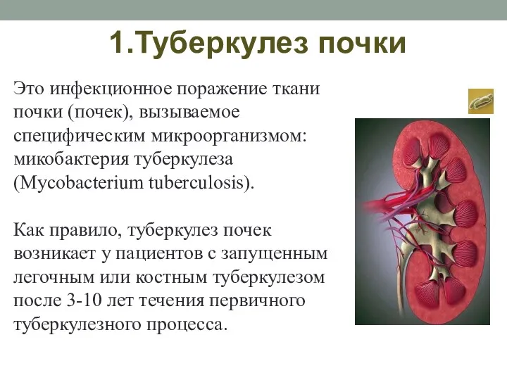 Это инфекционное поражение ткани почки (почек), вызываемое специфическим микроорганизмом: микобактерия