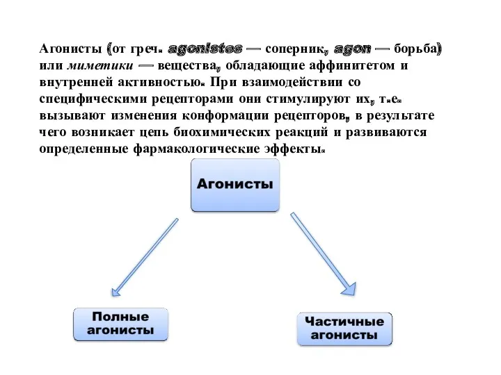 Агонисты (от греч. agonistes — соперник, agon — борьба) или