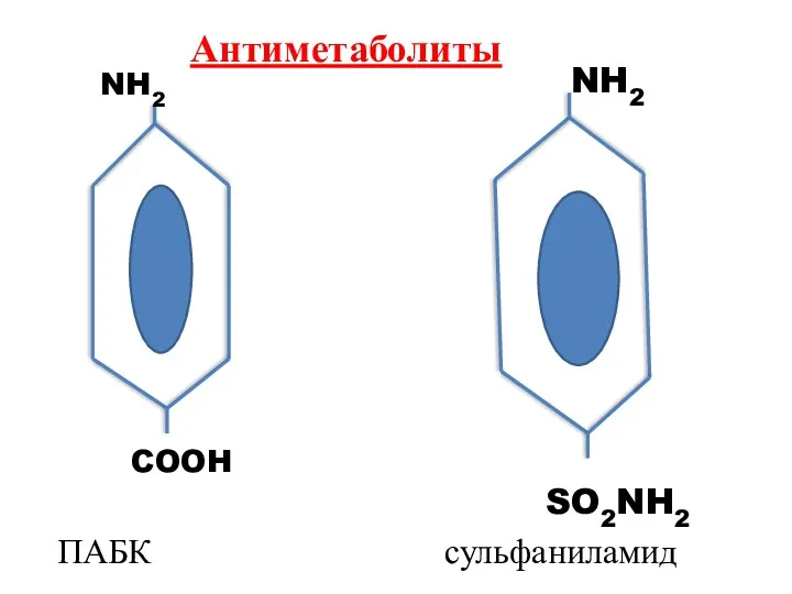 Антиметаболиты NH2 NH2 COOH SO2NH2 ПАБК сульфаниламид