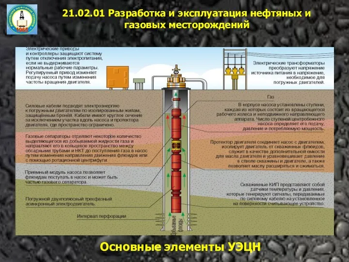 21.02.01 Разработка и эксплуатация нефтяных и газовых месторождений Основные элементы УЭЦН