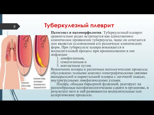 Патогенез и патоморфология. Туберкулезный плеврит сравнительно редко встречается как единственное