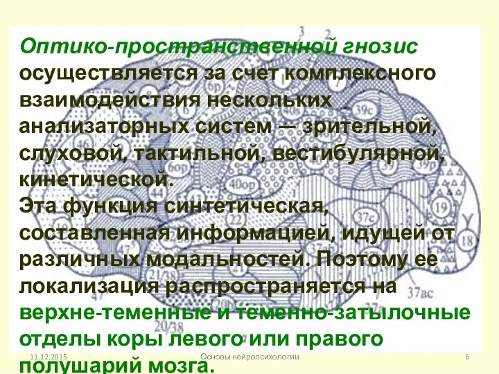 11.12.2015 Основы нейропсихологии Оптико-пространственной гнозис осуществляется за счет комплексного взаимодействия