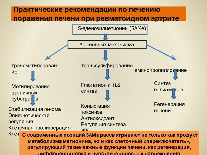 Практические рекомендации по лечению поражения печени при ревматоидном артрите S-аденозилметионин