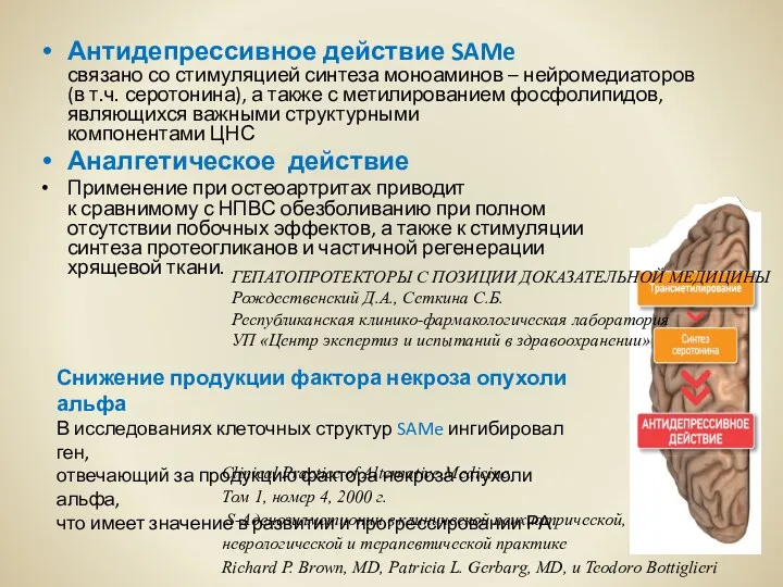 Антидепрессивное действие SAMe связано со стимуляцией синтеза моноаминов – нейромедиаторов