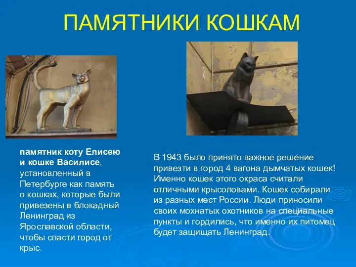 ПАМЯТНИКИ КОШКАМ памятник коту Елисею и кошке Василисе, установленный в Петербурге как память