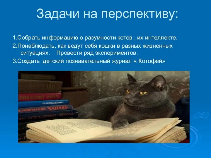 Задачи на перспективу: 1.Собрать информацию о разумности котов , их интеллекте. 2.Понаблюдать, как
