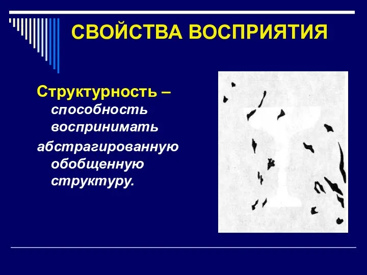 СВОЙСТВА ВОСПРИЯТИЯ Структурность –способность воспринимать абстрагированную обобщенную структуру.