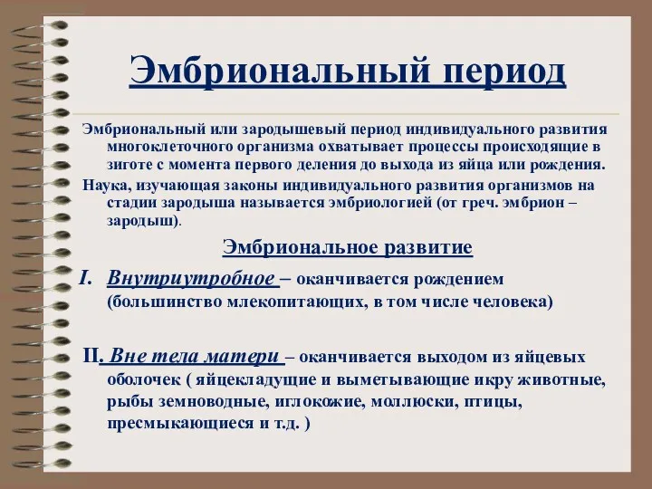 Эмбриональный период Эмбриональный или зародышевый период индивидуального развития многоклеточного организма